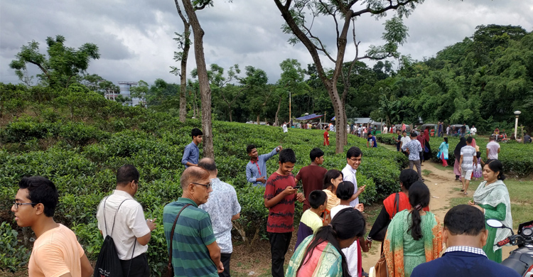 ঈদের ছুটিতে সিলেটের চা-বাগানে পর্যটকদের ঢল