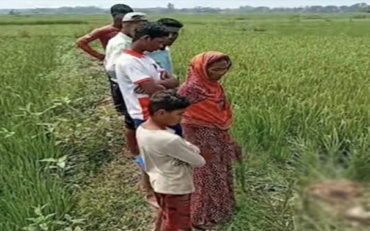কৃষকের গাভী-বাছুর চুরির পর জবাই করে মাংস কেঁটে নিয়ে গেল চোর
