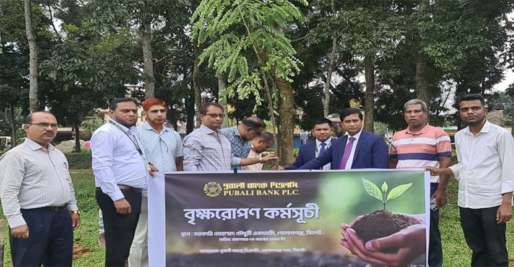 গোলাপগঞ্জে পূবালী ব্যাংকের উদ্যোগে বৃক্ষরোপন কর্মসূচি পালন
