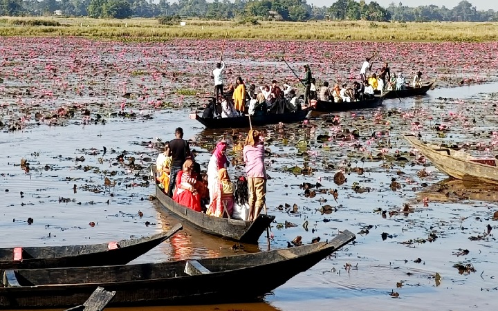 শাপলা বিলে বাড়ছে পর্যটকদের ভিড়, অবকাঠামোর উন্নয়ন দাবি