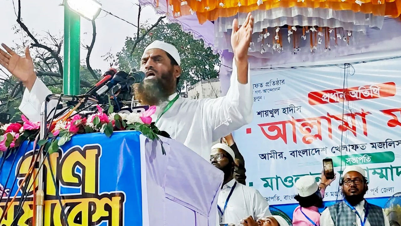 শে*খ হা সি না র রাজনীতি ছিল বিভাজন আর প্র তি শো ধে র : মামুনুল হক