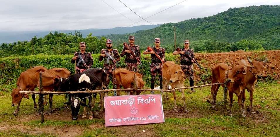 জৈন্তাপুরে ১০ লাখ টাকার ভা*রতীয় গরু-মহিষ জ*ব্দ