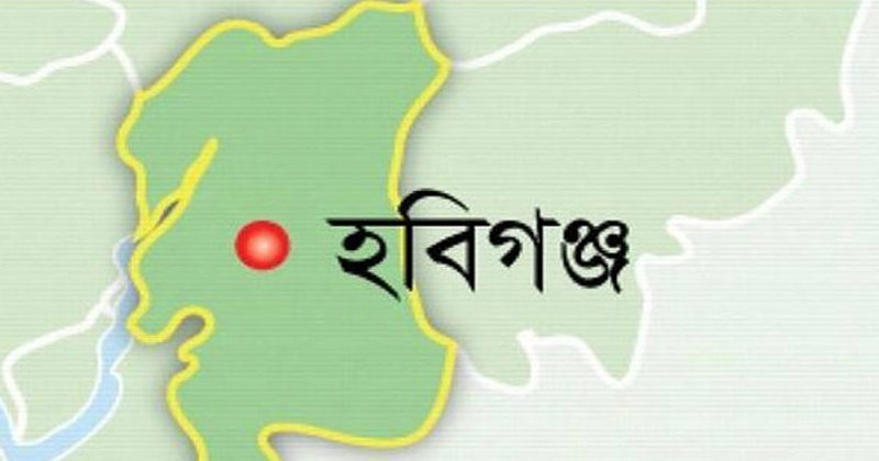 হবিগঞ্জে নারীর মুখ এ'সি'ডে ঝ'ল'সে দিলেন সাবেক স্বামী