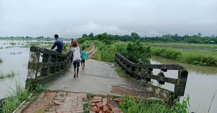গোয়াইনঘাটে ধসে পড়া ব্রিজের ওপর দিয়ে ঝুঁকি নিয়ে  চলাচল শঙ্কায় এলাকাবাসী