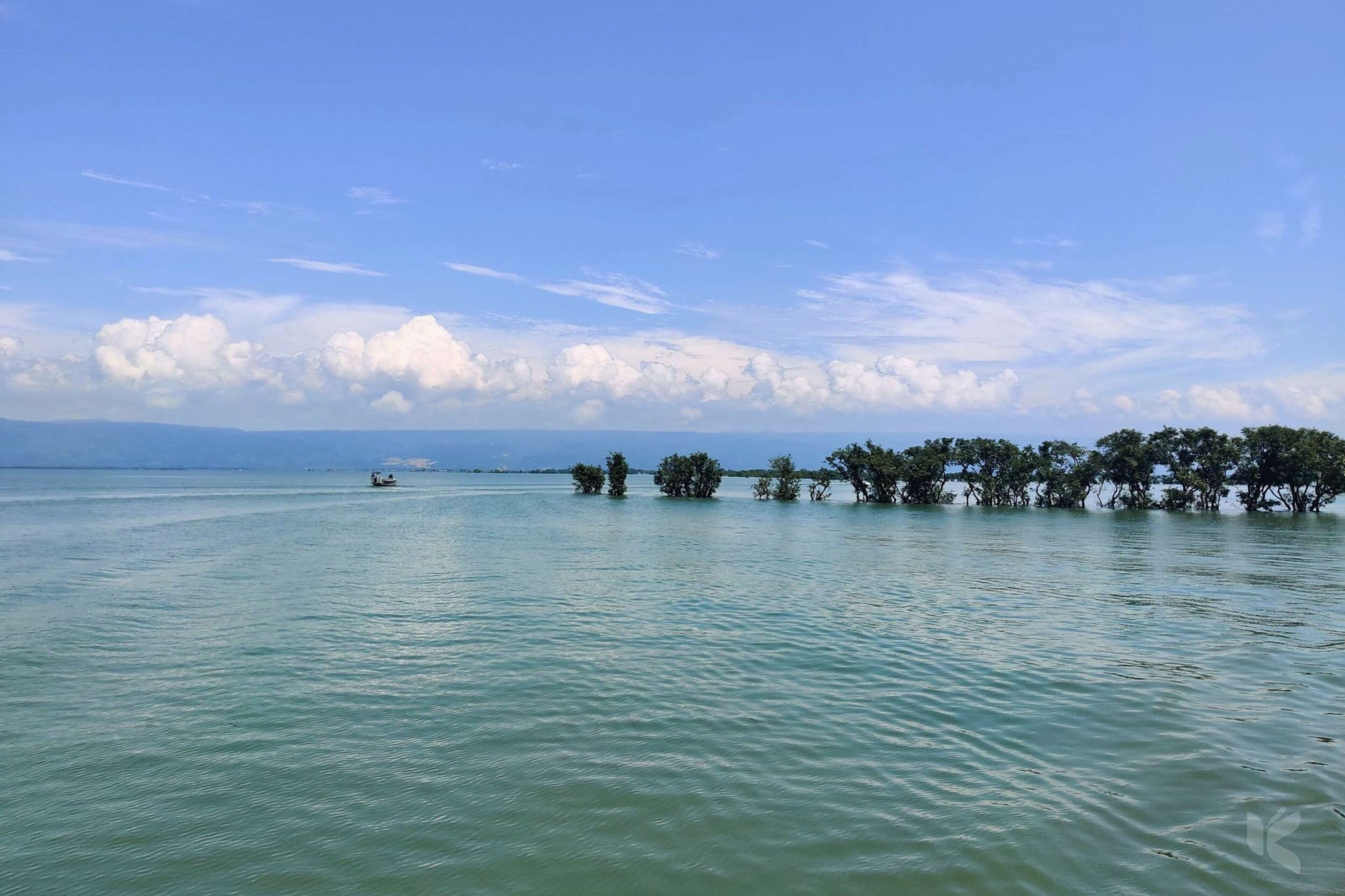টাঙ্গুয়ার হাওরের পানিতে উচ্চমাত্রার ভারী ধাতু