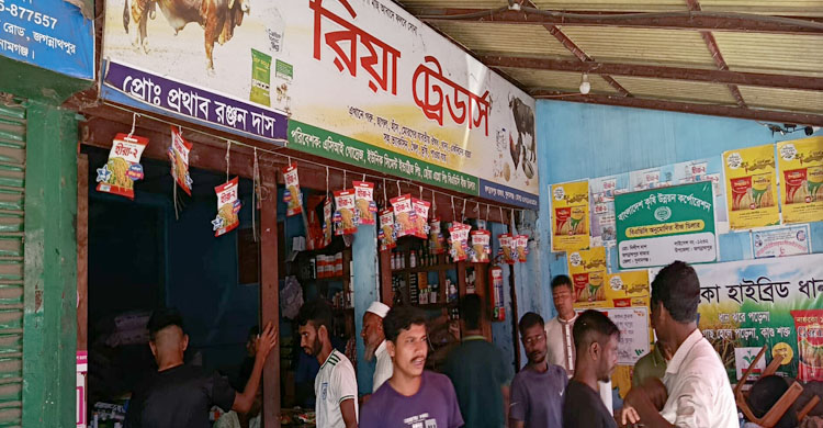 জগন্নাথপুরে সবজির চারা ও বীজ বিক্রির ধূম, চাষাবাদে ব্যস্ত সবজি চাষীরা
