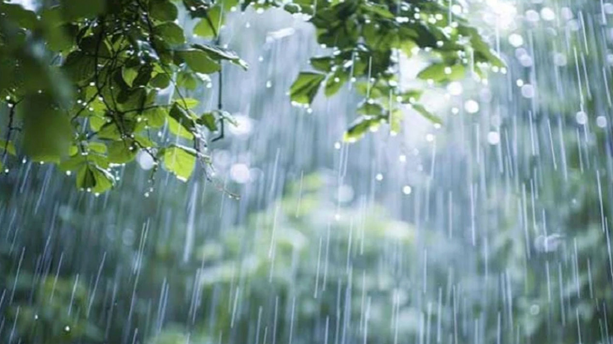 সিলেটসহ পাঁচ বিভাগে ভারী বৃষ্টির আভাস