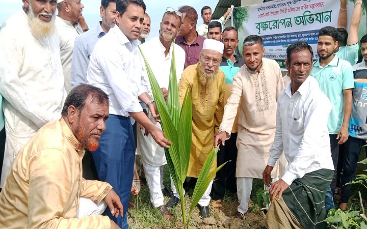 গোয়াইনঘাটে নন্দিরগাঁওয়ে সাড়ে ৪ হাজার গাছের চারা বিতরণ