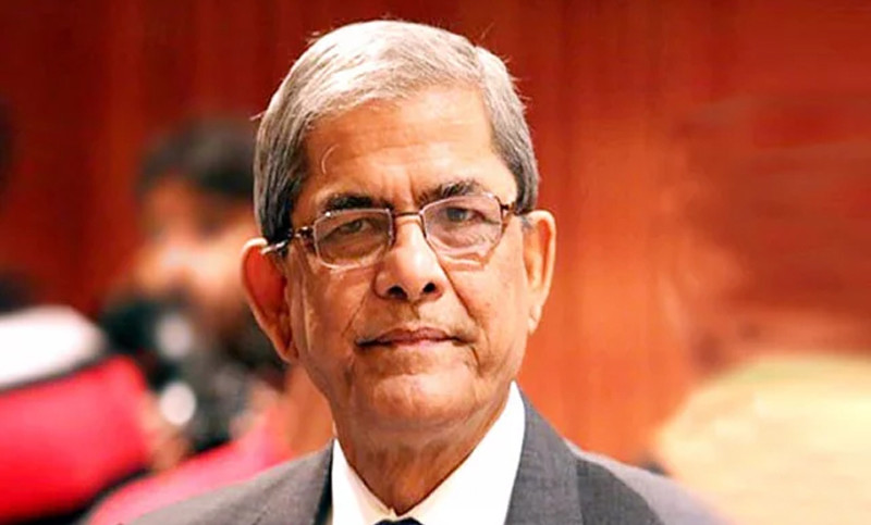 যুক্তরাজ্য থেকে দেশে ফিরলেন মির্জা ফখরুল