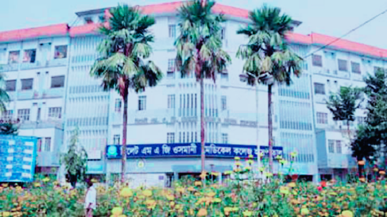 সিলেটে হা*মের উপসর্গে আরও এক শিশুর মৃ*ত্যু