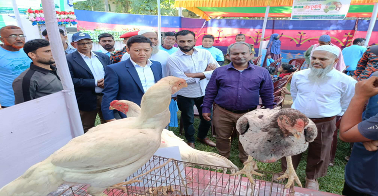 জৈন্তাপুরে প্রানীসম্পদ সপ্তাহ ও প্রদর্শনী -২০২৫ উদ্বোধন