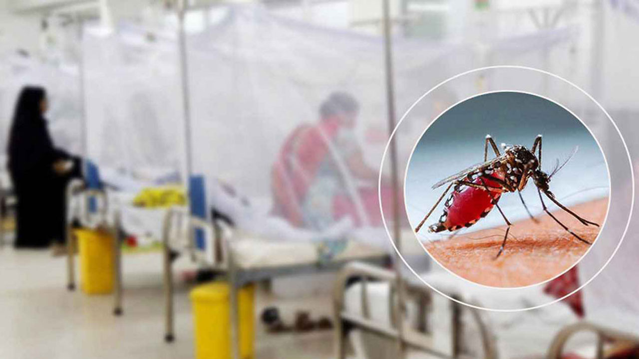 ডেঙ্গুতে আরো দুই জনের মৃ ত্যু, হাসপাতালে ভর্তি ৬৭৮