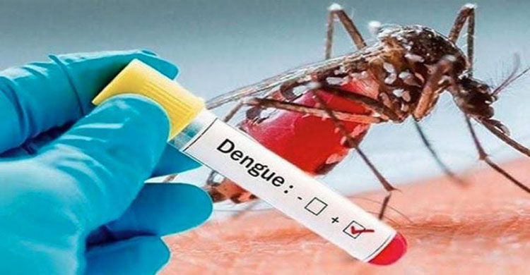 হবিগঞ্জে বেশী ডেঙ্গুরোগী, সুনামগঞ্জে কম