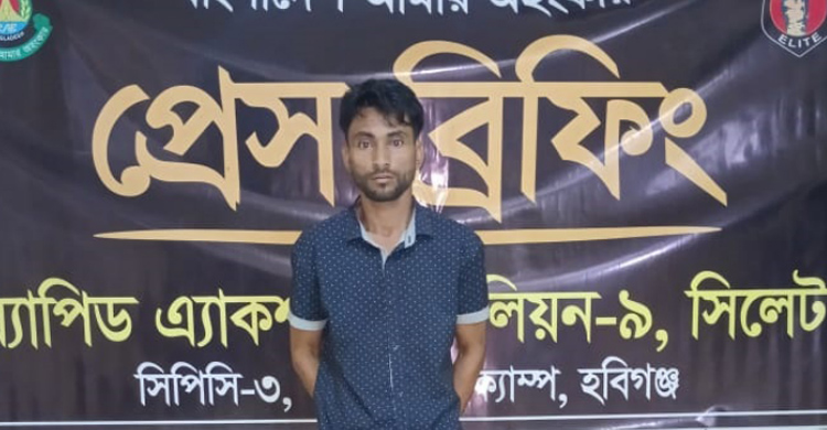 মাধবপুরে র&zwj;্যা বের অভিযানে ৩৩ কেজি গাঁজাসহ গ্রে ফ তার এক