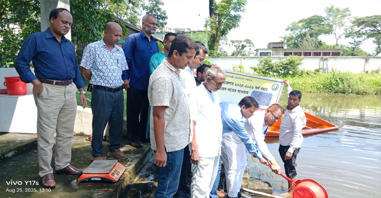গোয়াইনঘাটে মৎস্য সপ্তাহ শেষে বিভিন্ন পুকুরে পোনামাছ অবমুক্ত