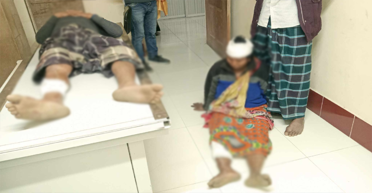 মাধবপুরে মুক্তিযোদ্ধা পরিবারের তিন সদস্যকে পিটিয়ে আহত      