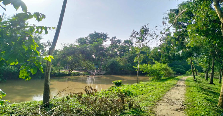 বিলাশেড় পাড়ে সাঁকোর দুর্ভোগ, লাশও নিতে হয় নৌকায়
