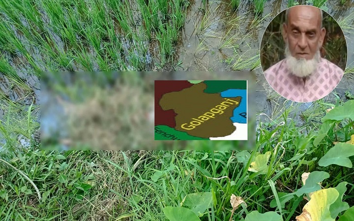 গোলাপগঞ্জের বাগিরঘাটে ক্ষেত থেকে বৃদ্ধের ম র দে হ উ/দ্ধার
