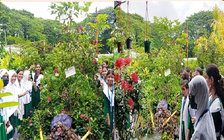 ক্রেতা-দর্শনার্থীর ভিড়ে জমজমাট সিলেট বৃক্ষমেলা