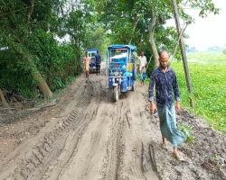 সড়ক যেন চাষের জমি!