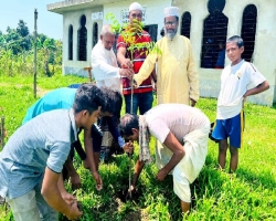 দোয়ারাবাজারে মায়ের স্মরণে ছেলের বৃক্ষরোপন