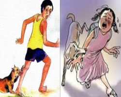 জগন্নাথপুরে শিয়াল, কুকুরের কামড়ে শিশু-নারীসহ আহত ২৩