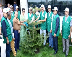 পাঁচ লাখ গাছ লাগাবে বিজিএমইএ