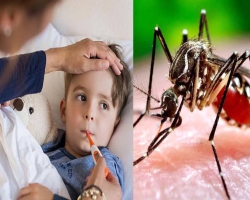 ডেঙ্গু চিকিৎসায় সরকারের রোগীপ্রতি ব্যয় ৫০ হাজার 