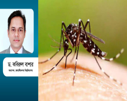 দ্বিতীয়বার ডেঙ্গু বিপজ্জনক?