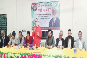 ধানের শীষের বিজয় নিশ্চিত করতে সবাইকে ঐক্যবদ্ধভাবে কাজ করতে হবে : শওকতুল ইসলাম শকু