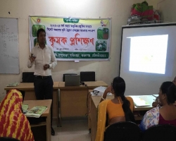 কমলগঞ্জে কৃষকেদের  প্রশিক্ষণ
