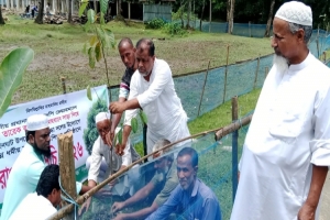গোয়াইনঘাটে শিক্ষা প্রতিষ্ঠানে মুক্তিযোদ্ধা দলের বৃক্ষরোপন কর্মসূচি গোয়াইনঘাটে শিক্ষা প্রতিষ্ঠানে মুক্তিযোদ্ধা দলের বৃক্ষরোপন কর্মসূচি