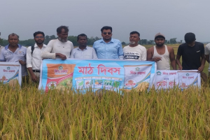 বালাগঞ্জে সীড ওয়ার্ন্ড লিঃ-এর মাঠ দিবস অনুষ্ঠিত