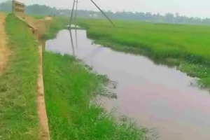 বাড়তি খরচে ক্ষতিগ্রস্ত আজমিরীগঞ্জের কৃষক বাড়তি খরচে ক্ষতিগ্রস্ত আজমিরীগঞ্জের কৃষক