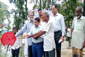 গোয়াইনঘাটে ২৬৩ কেজি পোনামাছ অবমুক্ত গোয়াইনঘাটে ২৬৩ কেজি পোনামাছ অবমুক্ত