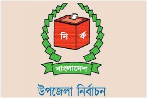 উপজেলা নির্বাচন ঘিরে তৃণমূল আ.লীগে বাড়ছে দ্বন্দ্ব