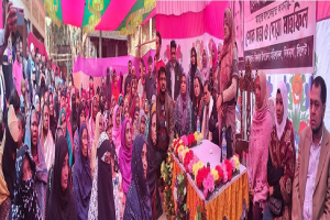 পরিপূর্ণ গণতান্ত্রিক দেশ গঠনে বিএনপির বিকল্প নেই - ইলিয়াসপত্নী লুনা