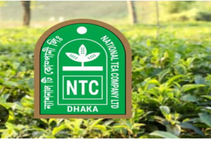 লোকসান-ঋণের ভারে অস্তিত্ব সংকটে এনটিসির ১২ চা বাগান লোকসান-ঋণের ভারে অস্তিত্ব সংকটে এনটিসির ১২ চা বাগান