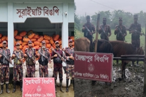 জৈন্তাপুর কানাইঘাটে ৫৪ লাখ টাকার বেশি ভা র তী য় চোরাচালানী মালামাল জ*ব্দ