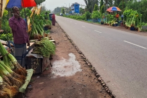 গোলাপগঞ্জের ফুলবাড়ির মুড়াকচুর হাট