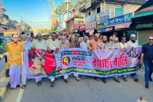 জাতীয় বিপ্লব ও সংহতি দিবস উপলক্ষে বড়লেখা পৌর বিএনপির বর্ণাঢ‌্য র‌্যা‌লি