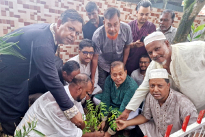 জনগণ তার কাঙ্খিত ভোটাধিকার ফিরে পেতে চায়: ইমদাদ চৌধুরী