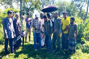 জৈন্তাপুরে ‘বাঘ আ*তঙ্ক’, নি*খোঁজ তিন গরুর ম*রদেহ উদ্ধার জৈন্তাপুরে ‘বাঘ আ*তঙ্ক’, নি*খোঁজ তিন গরুর ম*রদেহ উদ্ধার