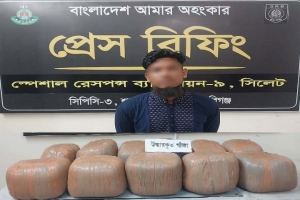 শায়েস্তাগঞ্জে ৫৫ কেজি গাঁ/জাসহ  যুবক গ্রে/প্তার