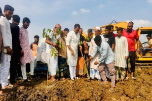 বিশ্বনাথে আবরার ইলিয়াস অর্ণবের বৃক্ষরোপণ কর্মসূচি