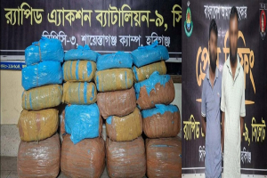 নবীগঞ্জে ৫৮ কেজি গাঁ*জাসহ দুই মা*দক ব্যবসায়ী গ্রে*ফতার, জ*ব্দ কাভার্ডভ্যান