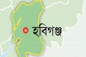 হবিগঞ্জে ঝুঁ'কিপূর্ণ ভবনের তালিকা চাইলেন আদালত হবিগঞ্জে ঝুঁ'কিপূর্ণ ভবনের তালিকা চাইলেন আদালত