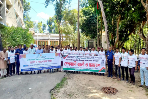 বড়লেখায় জাতীয় নিরাপদ সড়ক দিবসে  বর্ণাঢ্য র‌্যালি ও আলোচনা সভা