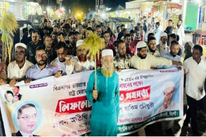 কেন্দ্র থেকে কাউকে মনোনয়ন দেওয়া হয়নি,তারেক রহমানের সিদ্ধান্ত মেনে নেব- হাকিম চৌধুরী