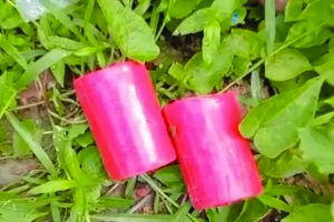 বিএনপি কার্যালয়ের সামনে থেকে ক ক টে ল উদ্ধার